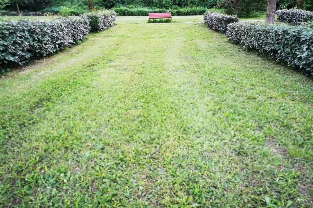 Cocon - 2Pers - Parking - Aeroport - Meet Apartment Blagnac Ngoại thất bức ảnh